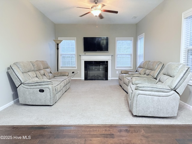 living room with ceiling fan and wood-type flooring