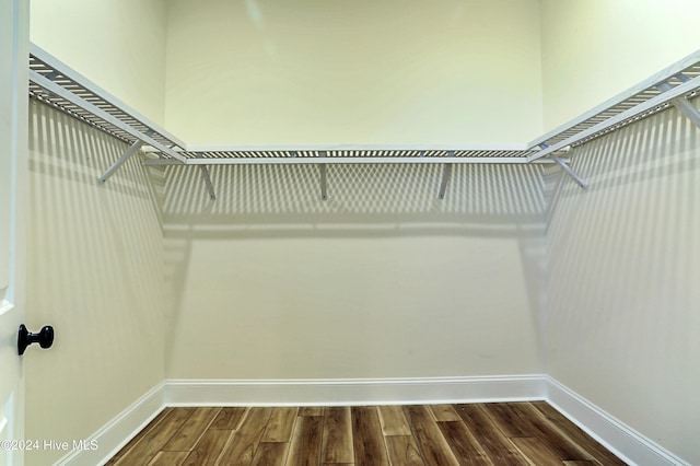 walk in closet with dark wood finished floors