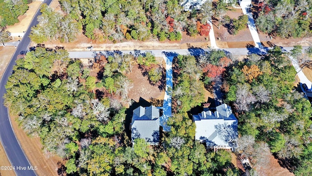3375 Sandridge Ln SW, Supply, NC 28462 - aerial view