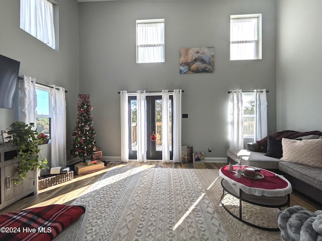 living room featuring a healthy amount of sunlight and a towering ceiling