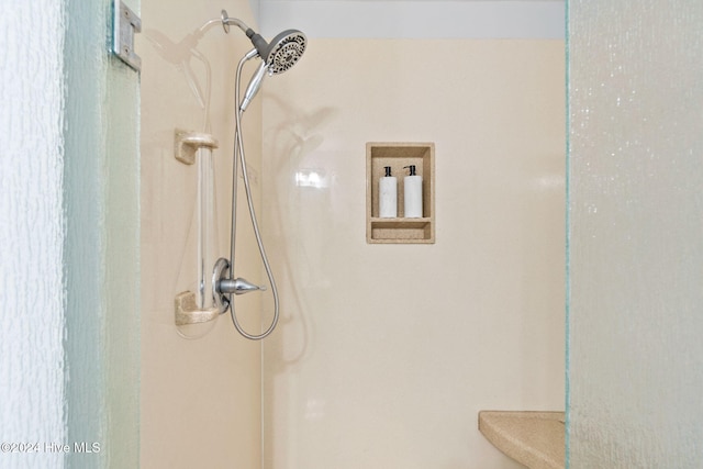 interior details featuring walk in shower