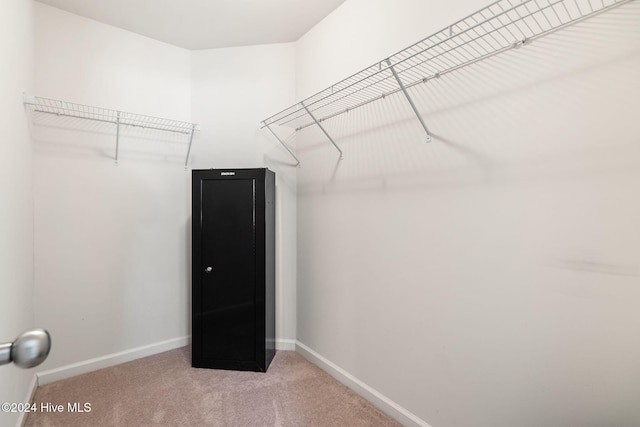 walk in closet featuring carpet flooring