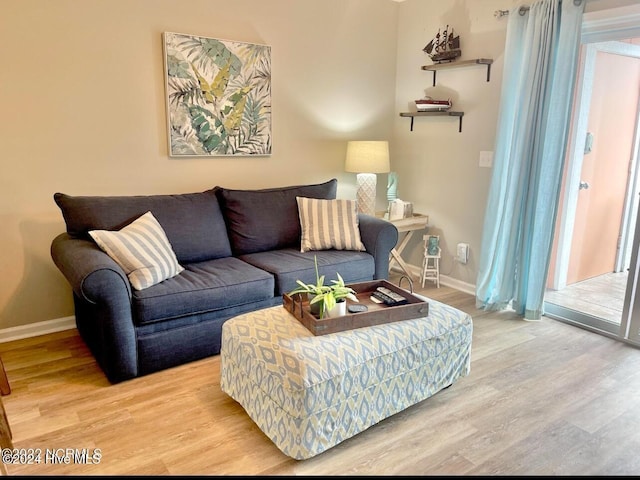 living room with wood-type flooring