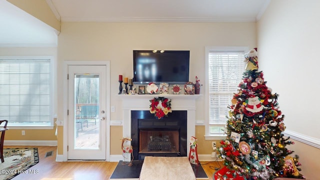 living room with light hardwood / wood-style floors and crown molding