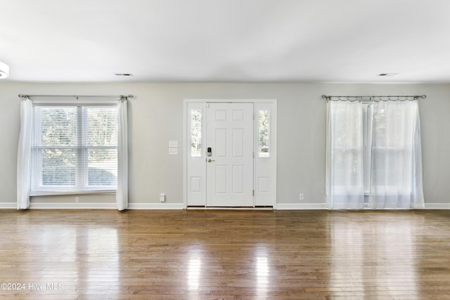 foyer featuring wood-type flooring