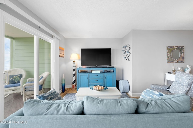 living room featuring hardwood / wood-style flooring and a textured ceiling