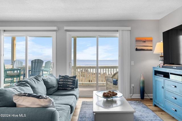 living room with a wealth of natural light, light hardwood / wood-style floors, and a textured ceiling