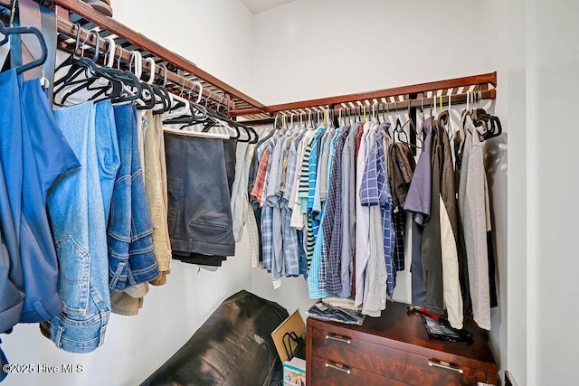 view of spacious closet