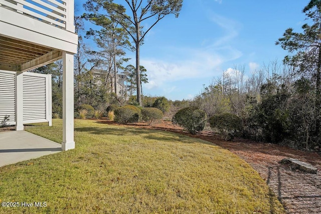 view of yard with a patio and a balcony