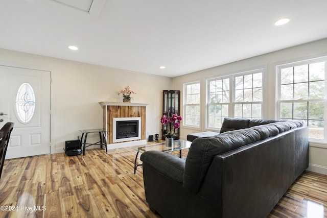 living room featuring hardwood / wood-style floors