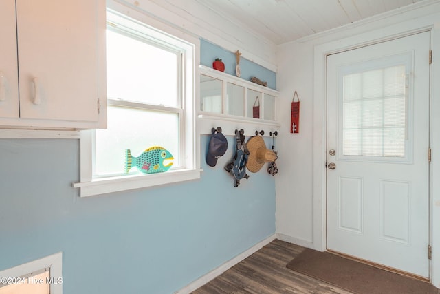 mudroom featuring a wealth of natural light, dark hardwood / wood-style flooring, and ornamental molding