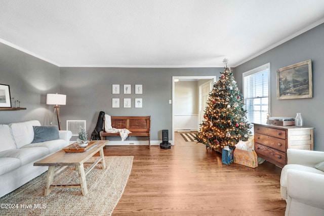 living room with hardwood / wood-style floors and crown molding