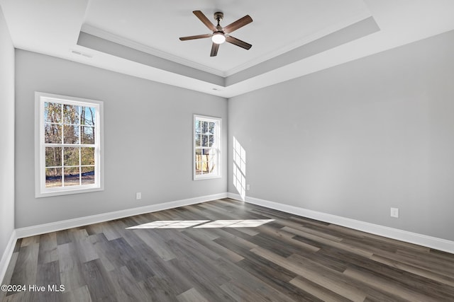 empty room with a tray ceiling, crown molding, and a healthy amount of sunlight