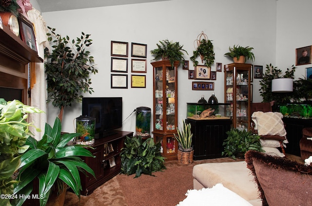 living room featuring carpet floors