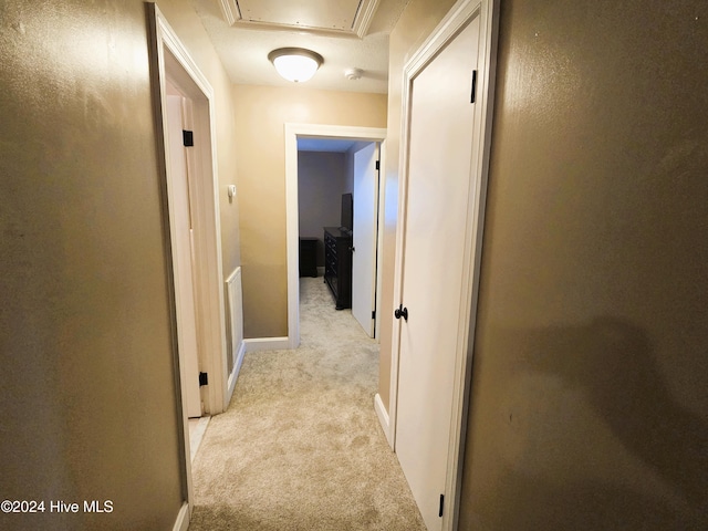 corridor with light colored carpet