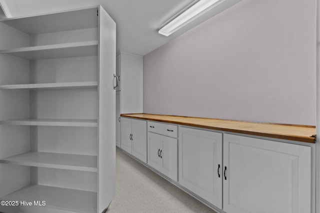 7 Brinyan Ct, Pinehurst, NC 28374 - view of walk in closet
