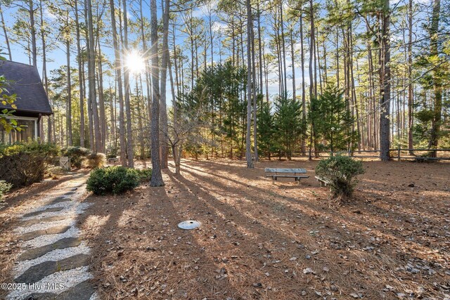 7 Brinyan Ct, Pinehurst, NC 28374 - view of yard