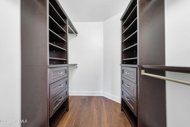 walk in closet featuring dark hardwood / wood-style floors