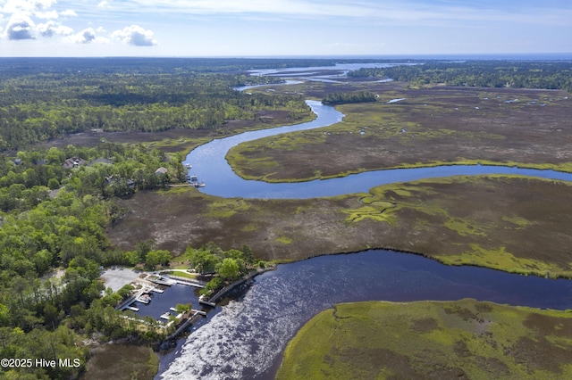 drone / aerial view featuring a view of trees and a water view