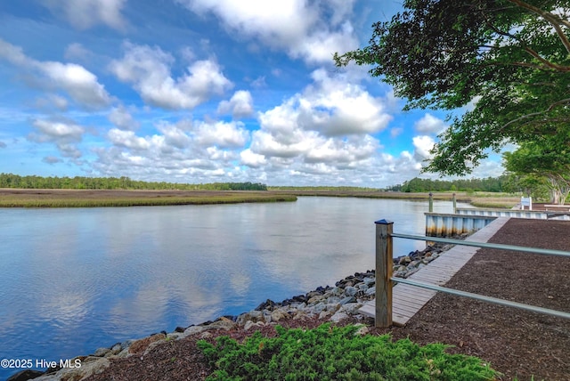 dock area with a water view