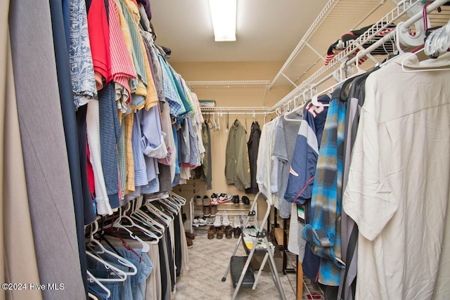 walk in closet with carpet flooring