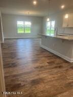 spare room with a wealth of natural light and dark hardwood / wood-style flooring