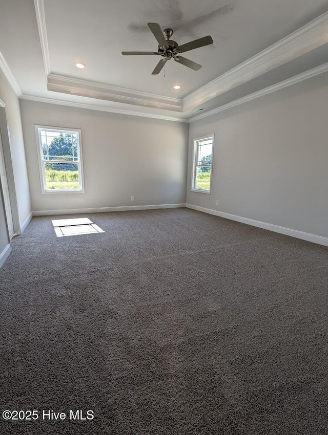 empty room with carpet, plenty of natural light, and a tray ceiling