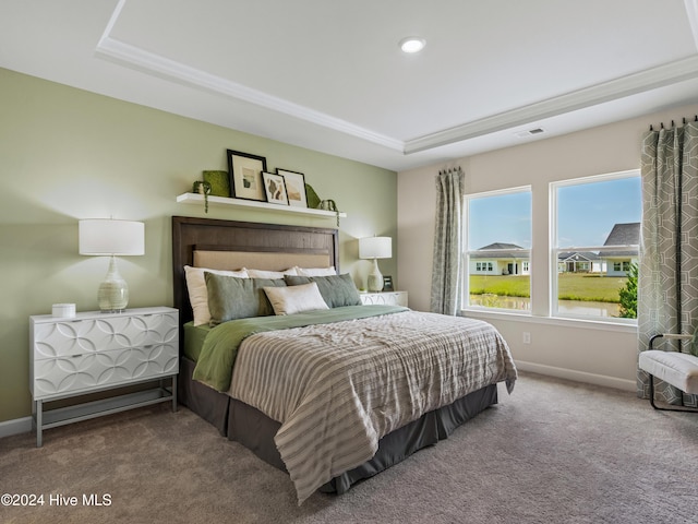 bedroom with carpet and a tray ceiling