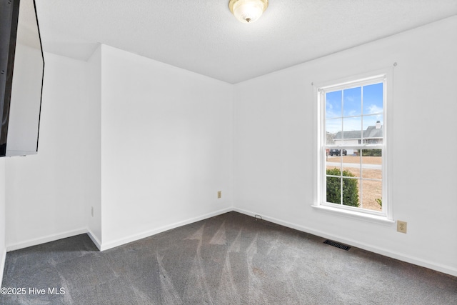 carpeted empty room featuring a textured ceiling and a wealth of natural light