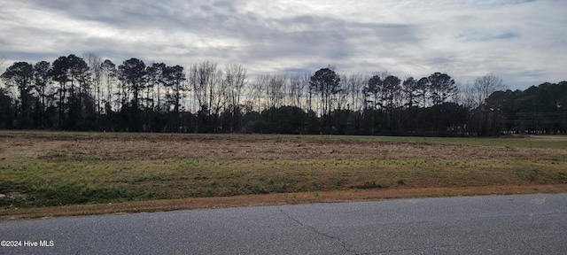 Listing photo 3 for LOT1 Crown Dr, Washington NC 27889