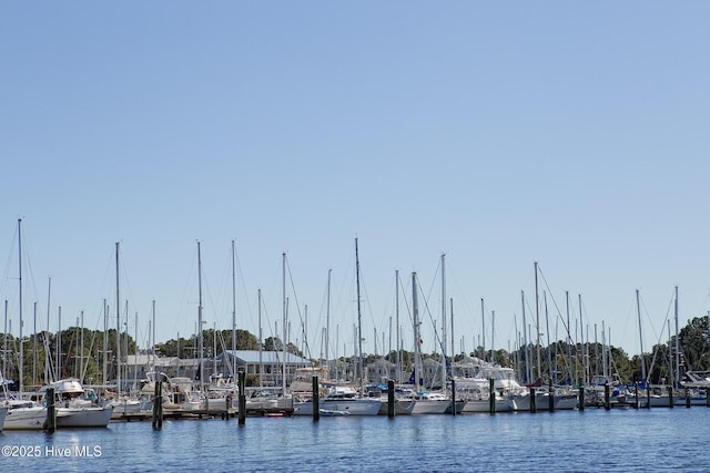 view of water feature with a dock