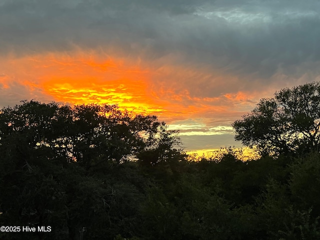 view of nature at dusk