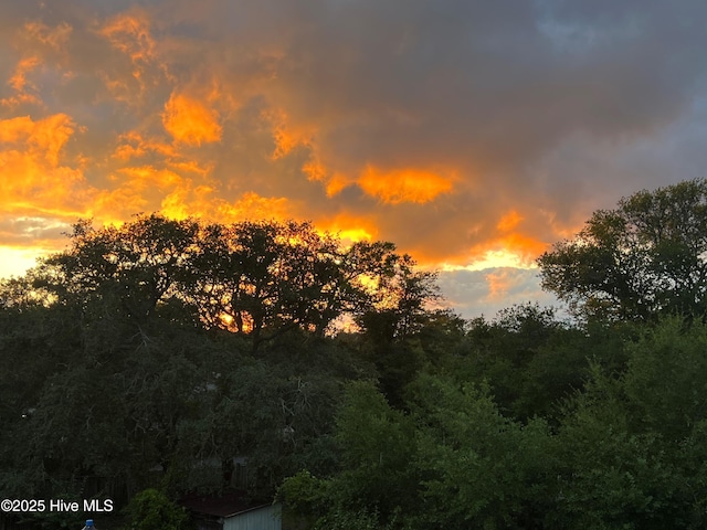 view of nature at dusk