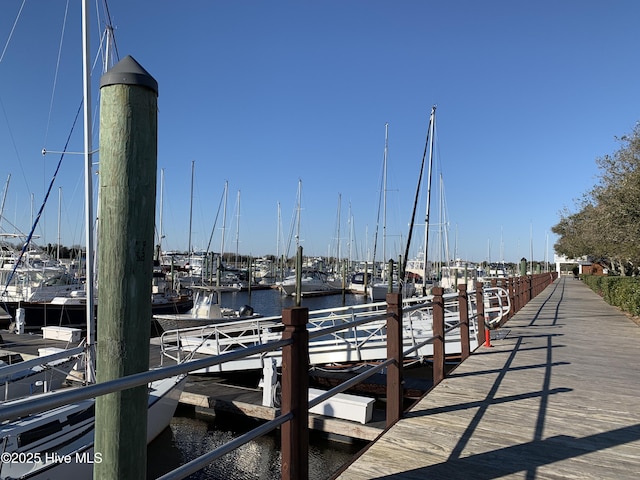 dock area with a water view