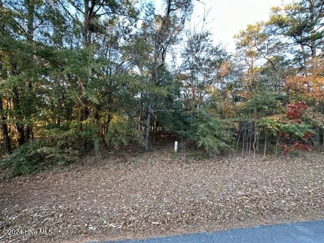 LOT60 Lakeshore Dr Unit 60, Minnesott Beach NC, 28510 land for sale