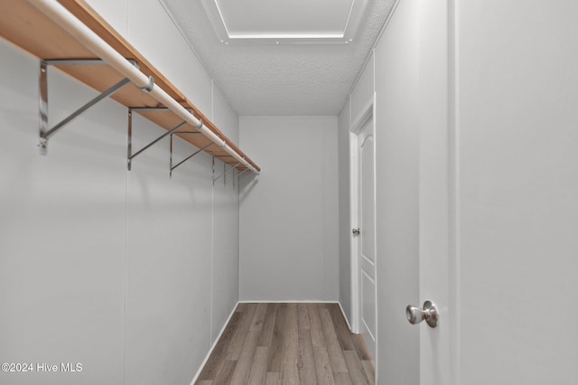 walk in closet with light hardwood / wood-style flooring