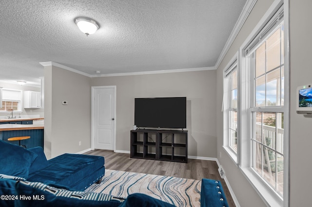 living room with a textured ceiling, light hardwood / wood-style floors, ornamental molding, and sink