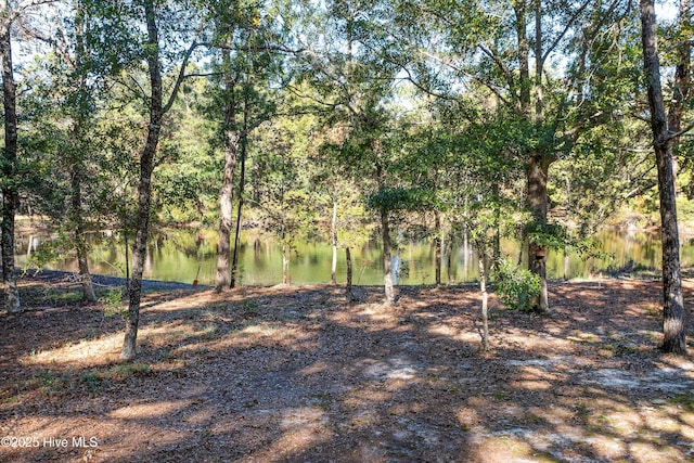 view of yard with a water view