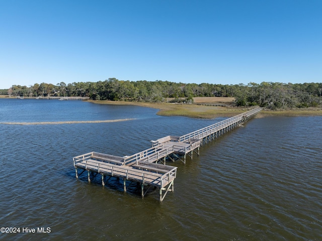 dock area featuring a water view and a view of trees