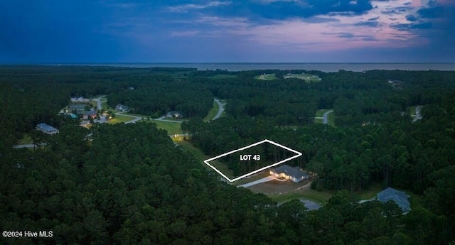 59 Chickory Ln Unit 43, Minnesott Beach NC, 28510 land for sale