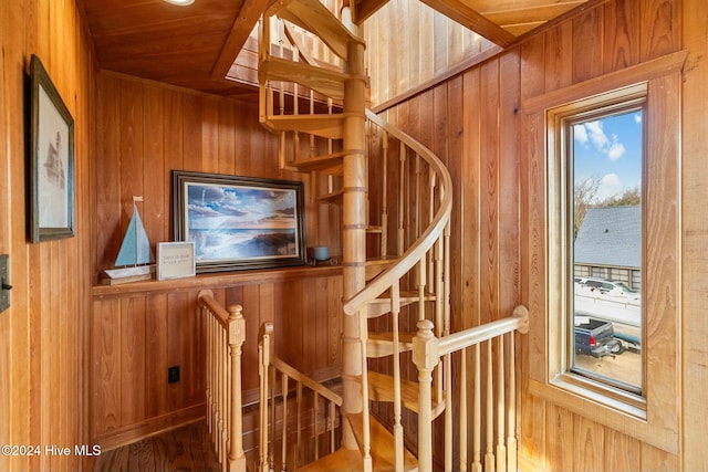 stairway featuring wood ceiling and wooden walls