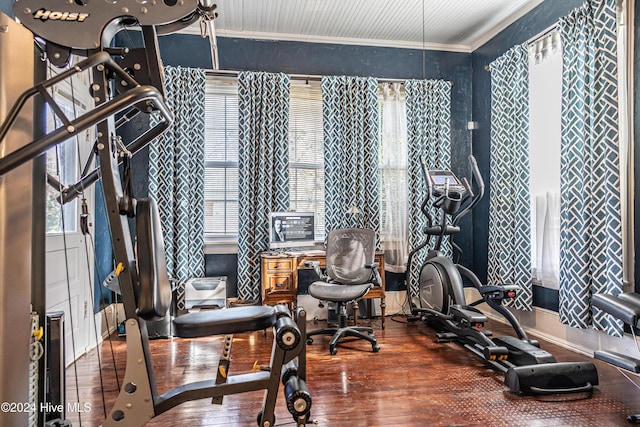 workout area featuring hardwood / wood-style flooring, a wealth of natural light, and ornamental molding