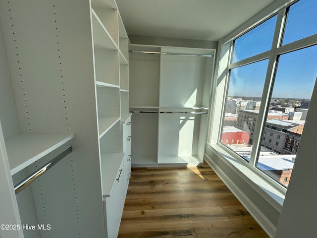 walk in closet with dark hardwood / wood-style flooring