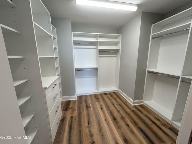 walk in closet featuring dark hardwood / wood-style floors