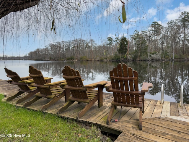 dock area with a water view