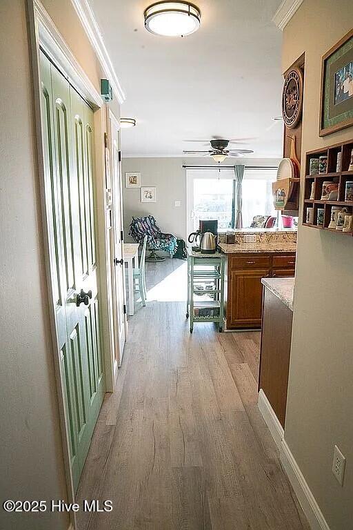 hallway featuring light hardwood / wood-style floors and ornamental molding