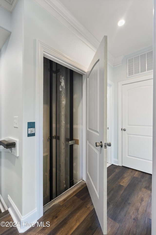 corridor featuring crown molding and dark wood-type flooring