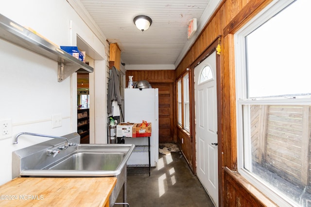 kitchen with white refrigerator, crown molding, wooden walls, and sink