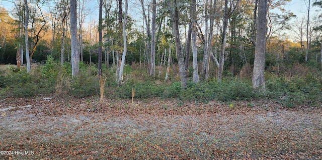 1872 Healing Water Ln SW Unit 185, Supply NC, 28462 land for sale