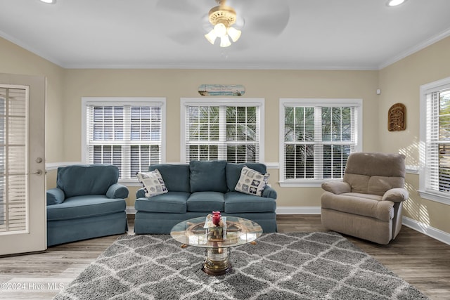 living room with ceiling fan, wood-type flooring, and crown molding